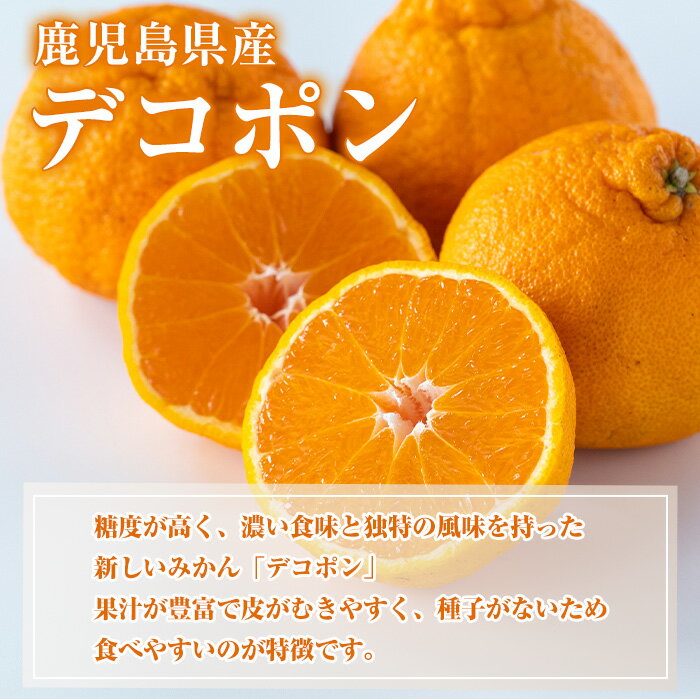 【ふるさと納税】＜先行予約受付中！2026年3月以降順次発送予定＞鹿児島県産！露地デコポン(約5kg・15〜24玉)果物 冬 春 柑橘 みかん 蜜柑 フルーツ 期間限定 数量限定【鹿児島いずみ農業協同組合】akn018-10 サムネイル3