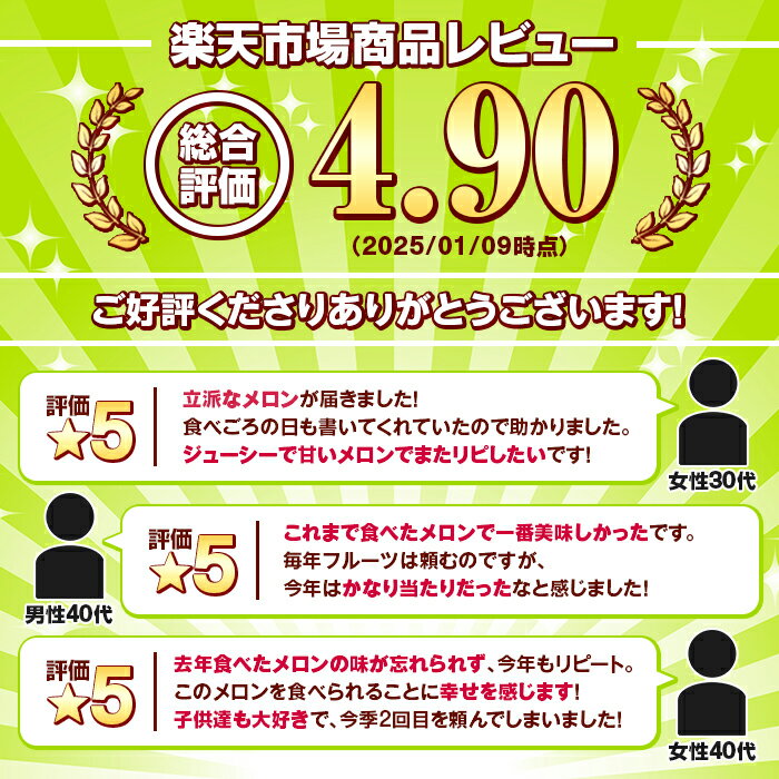 【ふるさと納税】＼高評価★4.9獲得！／＜先行予約受付中！2026年6月以降順次発送予定＞＜内容量が選べる！＞鹿児島県産！南国グリーンメロン(L〜3Lサイズ・2〜6個) メロン めろん 果物 スイーツ デザート フルーツ【あくね旬の店いきいき館】 - 画像2