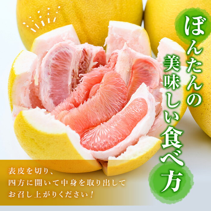 【ふるさと納税】＜先行予約受付中！2026年1月以降順次発送予定＞鹿児島県阿久根市産！特別選定 柑橘セット(ボンタン3個・不知火3kg) 国産 果物 フルーツ かんきつ ノーワックス【松永青果】akn053-26 サムネイル3