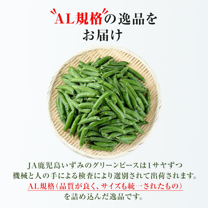 【ふるさと納税】AL規格の鹿児島県産グリーンピース(実えんどう)(計2kg) 国産 野菜 エンドウ 豆 セット 詰合せ 詰め合わせ 春 野菜 旬【鹿児島いずみ農業協同組合】akn018-06 - 画像3