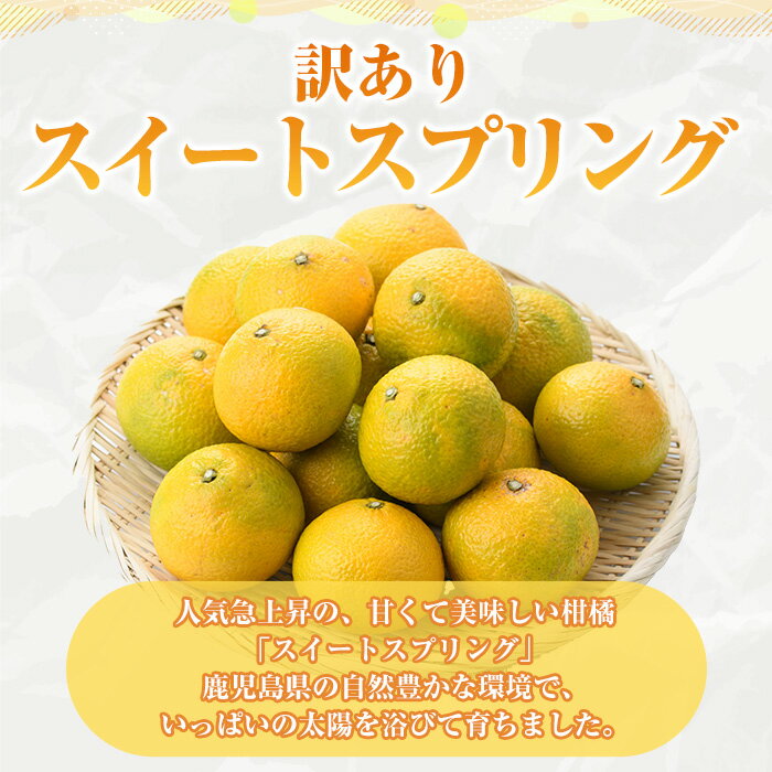 【ふるさと納税】＜先行予約受付中！2025年12月中旬以降順次発送予定＞＜内容量が選べる！＞訳ありスイートスプリング(約10～15kg) 鹿児島県 阿久根市 フルーツ 果物 デザート 柑橘 甘味 果肉 果汁【松永青果】 サムネイル2