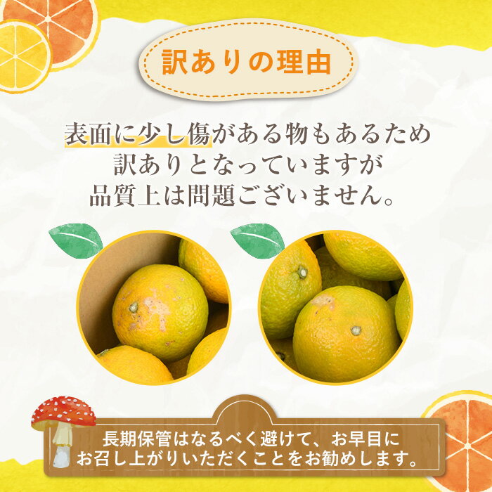【ふるさと納税】＜先行予約受付中！2025年12月中旬以降順次発送予定＞＜内容量が選べる！＞訳ありスイートスプリング(約10～15kg) 鹿児島県 阿久根市 フルーツ 果物 デザート 柑橘 甘味 果肉 果汁【松永青果】 サムネイル3