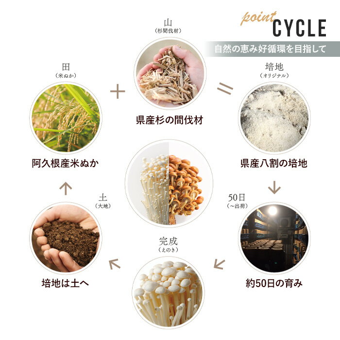 【ふるさと納税】濃い椎茸(10袋・計250g)国産 しいたけ シイタケ きのこ キノコ セット 個包装 スライス【三笠えのき茸生産組合】akn010-07 - 画像3