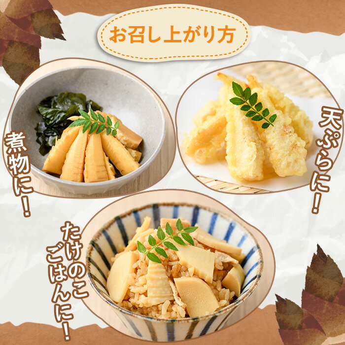 【ふるさと納税】＜内容量が選べる＞訳あり！鹿児島県産 早掘りたけのこ(約2kg〜4kg) 国産 野菜 たけのこ タケノコ 筍 旬 煮物 水煮 天ぷら つくだ煮【松永青果】 - 画像3