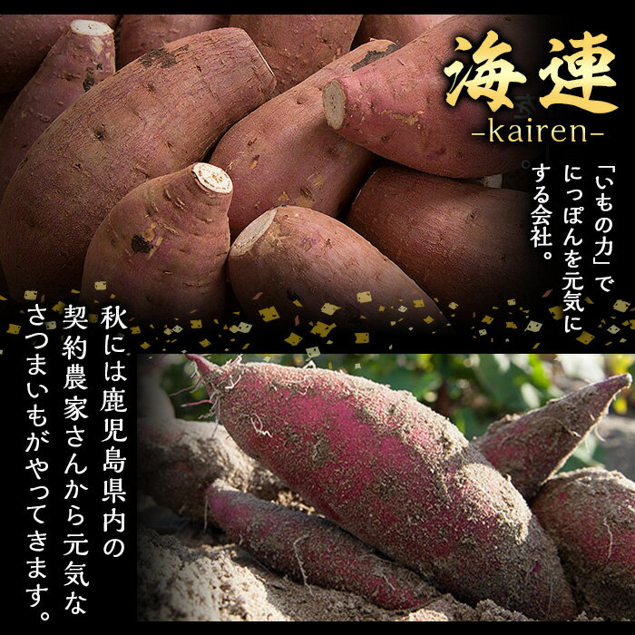 【ふるさと納税】鹿児島本格芋焼酎 黒瀬安光作「伊七郎」(1.8L) 阿久根市 一升瓶 名工 プレミアム焼酎 国産 酒 いも さつま芋 さつまいも サツマイモ アルコール ギフト 贈答 常温保存 父の日 贈答用 ギフト【海連】akn016-07 サムネイル3