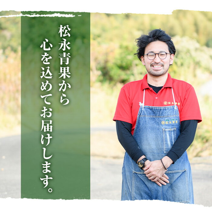 【ふるさと納税】＜先行予約受付中！2026年5月上旬以降順次発送予定＞数量限定！訳あり びわ(約1kg) 阿久根市 フルーツ 果物 デザート 甘味 酸味 果肉 果汁【松永青果】akn053-10 サムネイル3