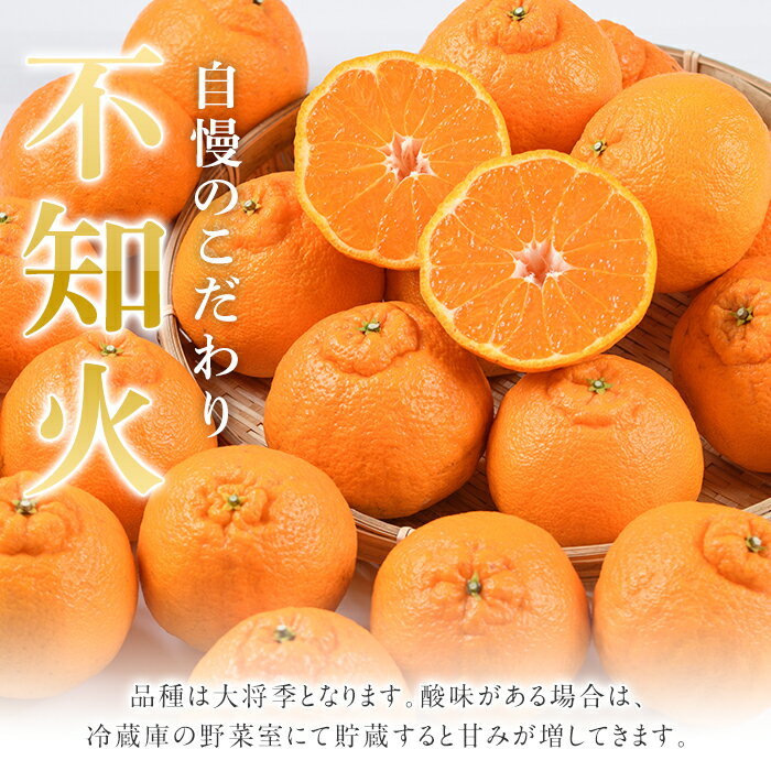 【ふるさと納税】＜定期便・全4回(12月・1月・2月・3月)＞鹿児島県産不知火ざんまい(総量約18kg) 国産 果物 フルーツ 柑橘 旬 しらぬい 定期便 頒布会 シラヌイ 数量限定 期間限定 阿久根市産【三笠農業生産】akn051-15 サムネイル3