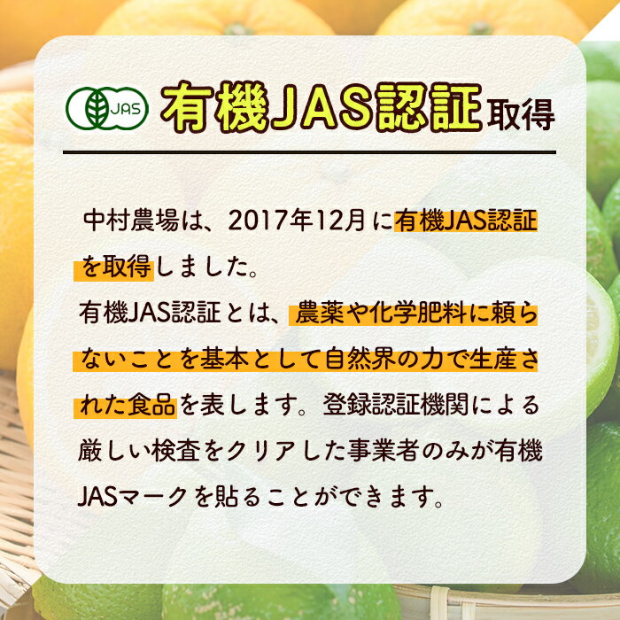 【ふるさと納税】数量限定！有機JAS オーガニックレモン(計2kg) 国産 レモン 檸檬 果実 果物 フルーツ 柑橘 デザート 期間限定 有機栽培 健康志向【中村農場】akn084-03 サムネイル3