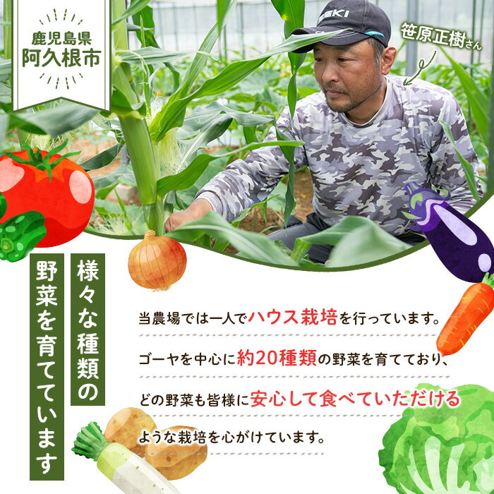 【ふるさと納税】＜先行予約受付中！2026年5月下旬以降順次発送予定＞とうもろこし ゴールドラッシュ(15本) 国産 旬 野菜 青果 トウモロコシ 期間限定【笹原正樹】akn094-01 - 画像2