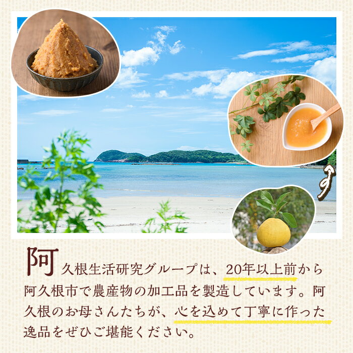 【ふるさと納税】お母さんのおいしい麦味噌(計4kg・1kg×4袋)みそ 調味料 味噌 みそ汁 手作り 味噌汁 お味噌汁 朝ごはん ミソ 小分け 母の味【阿久根市生活研究グループ】akn072-01 サムネイル2