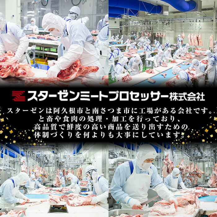 【ふるさと納税】＼テレビで紹介されました！高評価★4.90獲得！／＜選べる2種＞ホルモン(牛×豚ホルモン4種 合計2.2kg/牛ホルモン2種 合計2kg) 大容量 国産 小腸 味付 パック 詰め合わせ 鍋 モツ おかず 小分け 個包装 焼肉【スターゼン】 サムネイル3