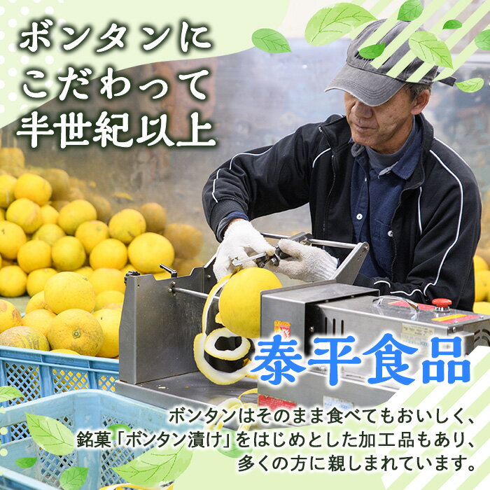 【ふるさと納税】＼高評価★4.76獲得！／南国銘菓！果実の王様ボンタン漬セット(計5袋・ボンタン漬/舟切・ぼんたん漬/青切・甘夏みかん漬・ひとくちサイズぼんたん漬/青切/舟切)国産 個包装 おやつ 果物のお菓子 セット 小分け【泰平食品】akn007-01 サムネイル3