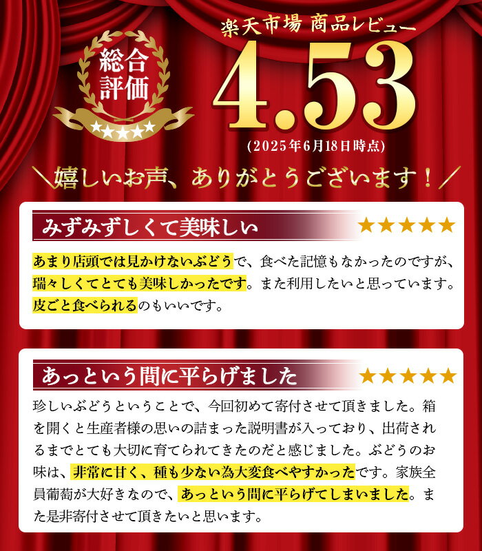 【ふるさと納税】≪数量・期間限定≫〈容量が選べる！〉赤嶺(セキレイ) (計約1kg／計約1.5kg／計約2kg) ぶどう グレープ 果物 くだもの フルーツ 葡萄 旬 糖度 上品な甘さ 歯ごたえ 冷蔵 【山門ぶどう園】 サムネイル2