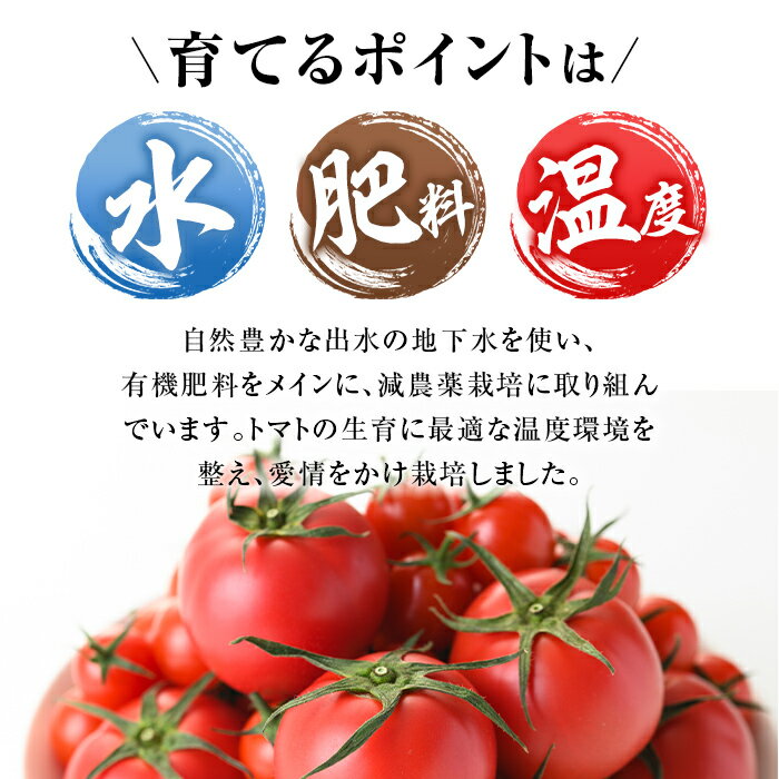 【ふるさと納税】≪2025年12月〜2026年5月の間に発送予定≫ ＜期間限定＞極トマト おまかせセット2kg以上 (ミニトマト・大玉トマト) フルーツトマト とまと トマト 野菜 青果 旬 ミニトマト 大玉 お弁当 料理 期間限定 【末永農園】 - 画像3