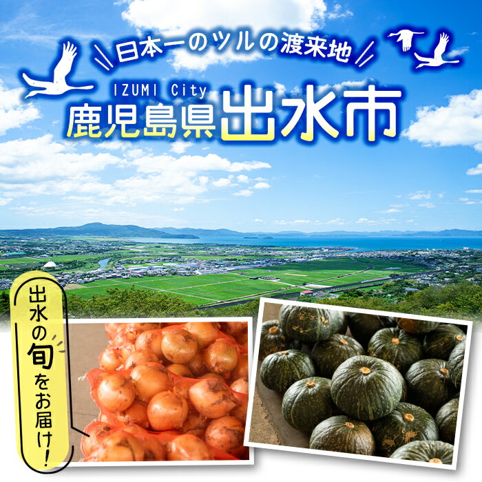 【ふるさと納税】旬の野菜・果物おまかせセット(8〜10種類) 野菜 果物 くだもの 詰め合わせ セット 国産 鹿児島県産 市場直送 旬 季節 何が届くかはお楽しみ 【出水市出水駅観光特産品館 飛来里】 - 画像2