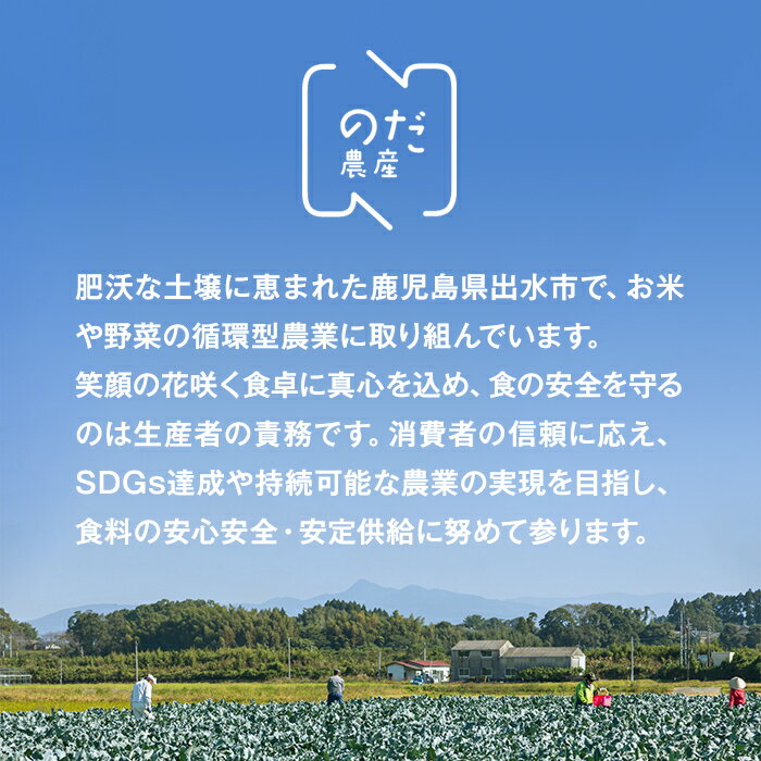 【ふるさと納税】≪2025年12月上旬～4月下旬の間に発送予定≫ ブロッコリー 約2kg (M〜L玉) 鹿児島 出水 国産 生 野菜 ブロッコリー 朝どれ 新鮮 産地直送 JGAP認証 安心安全 【のだ農産】 - 画像2