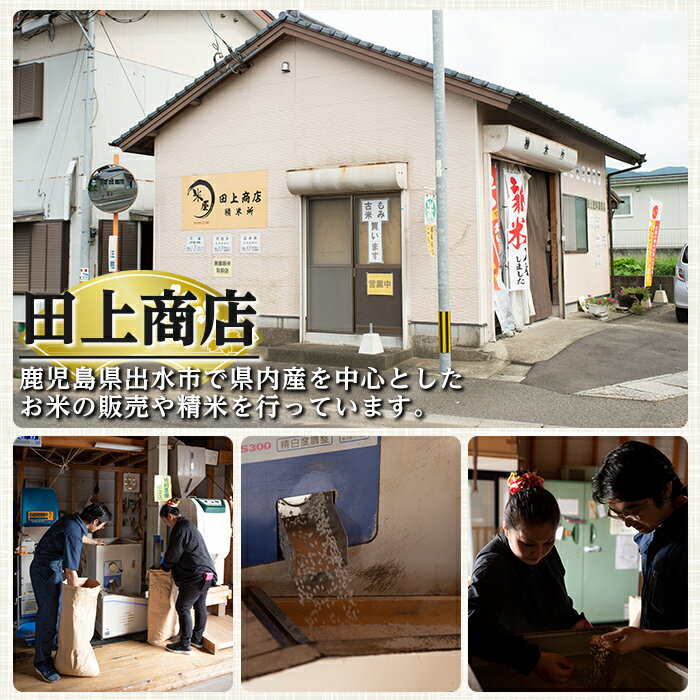 【ふるさと納税】＜選べる！お届け内容＞鹿児島県出水市産ひのひかり＜計6kg・計12kg・計36kg・計72kg＞ 定期便 米 6kg お米 白米 ヒノヒカリ 自家脱穀 自家精米 発送直前 精米 おにぎり ごはん お米マイスター 厳選 【田上商店】 - 画像2