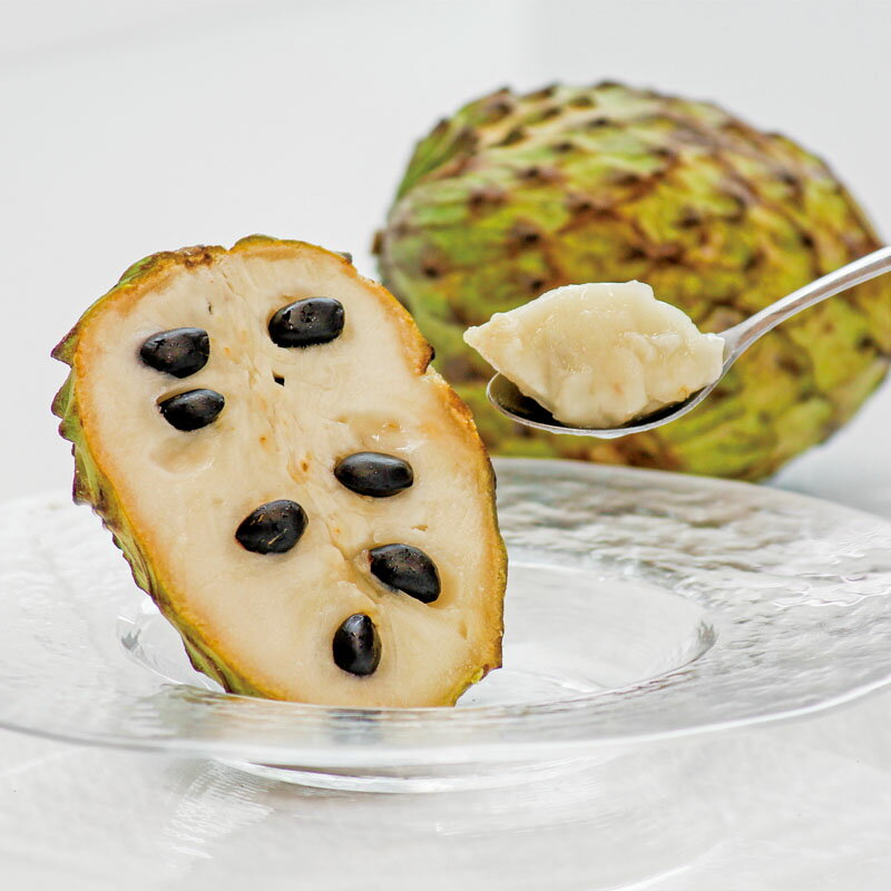 【ふるさと納税】訳あり フルーツ アテモヤ 家庭用 1kg 2〜5玉でお届け 期間限定 果物 森の アイスクリーム と呼ばれる甘くてなめらかな食感の トロピカルフルーツ トロピカル 南国 チェリモヤ バンレイシ 珍しい 鹿児島県【財宝】A1-22548 サムネイル2