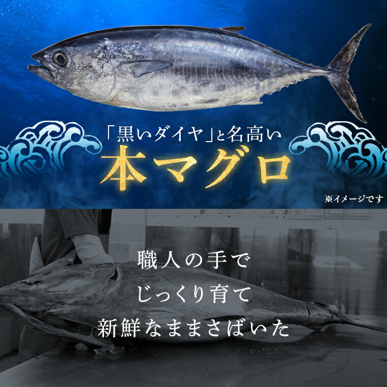 【ふるさと納税】 【選べる部位】 鹿児島県産本マグロ 赤身 中トロ 大トロ 200g 約2~3人前 本まぐろ 赤身 刺身 本鮪 お刺身 柵 ブロック 冷凍 海鮮 養殖 新鮮 マグロ丼 海鮮丼の具 漬け丼 鹿児島 九州 薩摩川内市 国産 九州産 鹿児島産 サムネイル3