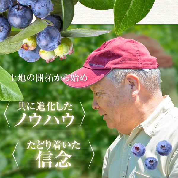 【ふるさと納税】 【数量限定】冷凍ブルーベリー 1kg（500g×2）【B-18】 ブルーベリー 冷凍ブルーベリー フルーツ　果物 近藤農園 薩摩川内市 送料無料 鹿児島 サムネイル2