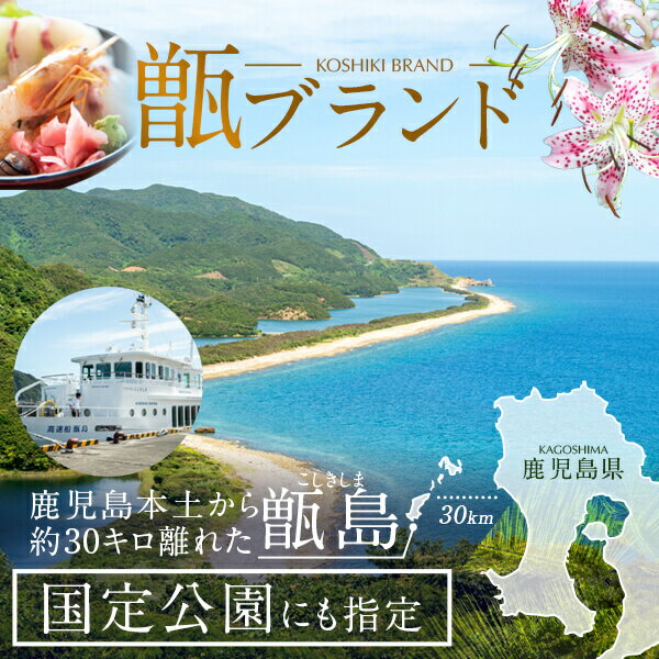 【ふるさと納税】芋焼酎 六代目百合 35度 1800ml 2本セット 塩田酒造 焼酎　薩摩川内 鹿児島県 サムネイル3