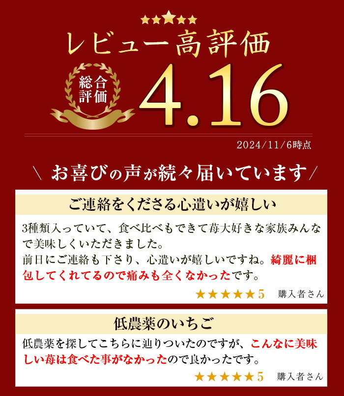 【ふるさと納税】＜先行予約受付中！＞ 鹿児島県産生いちご「さがほのか・恋みのり・さつまおとめ・紅ほっぺ」からお届け！(合計1.1kg超・280g×2P×2箱) 国産 九州産 苺 イチゴ フルーツ 果物 果実【片平観光農園】 サムネイル2