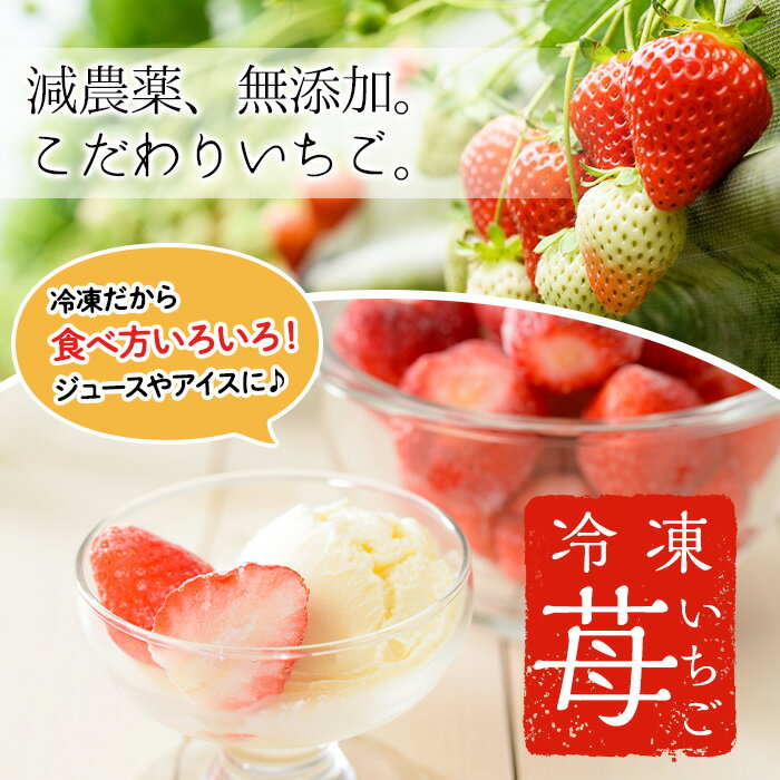 【ふるさと納税】＜容量選べる！＞冷凍いちご(計約2kg・約1kg×2P/計約2.55kg・約850g×3P/計約3.4kg・約850g×4P) 国産 九州産 苺 イチゴ 冷凍 果物 フルーツ 減農薬 アイス 小分け【片平観光農園】 サムネイル2