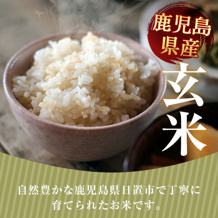 【ふるさと納税】＜訳あり・内容量選べる！＞日置市産ヒノヒカリ(玄米・5kg～20kg) 国産 九州産 ひのひかり 玄米 訳アリ 訳あり ご飯 ごはん 【末永商店】 - 画像2