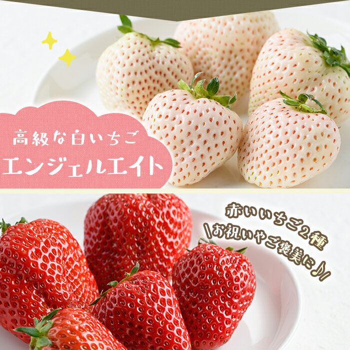 【ふるさと納税】＜先行予約受付中！＞3品種いちごの食べ比べセット(約400g～600g)国産 九州産 鹿児島 日置市 生鮮食品 苺 イチゴ 白苺 赤苺 果物 くだもの フルーツ 大粒 食べ比べ 詰め合わせ パック 【ままりあ農園】 サムネイル3