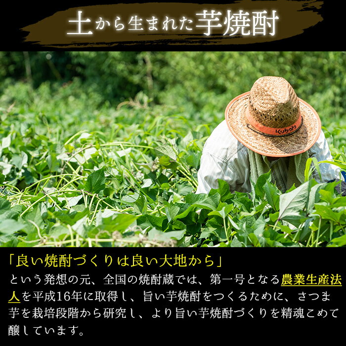 【ふるさと納税】＜本格芋焼酎＞南国酒造・「薩摩」入6本セット(6銘柄・各900ml・計6本) 鹿児島 九州 酒 芋 焼酎 いも焼酎 地酒 薩摩芋 さつま芋 アルコール 飲み比べ セット サムネイル3