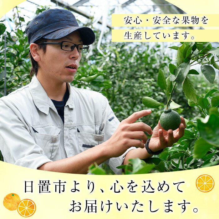 【ふるさと納税】＜数量限定＞薩摩不知火クラフトビール「FukiageIPA」(330ml×3本) 不知火 クラフトビール ビール 果物 果実 フルーツ 柑橘 みかん ミカン オレンジ ギフト 贈答 プレゼント 数量限定【黒川農園】 サムネイル3