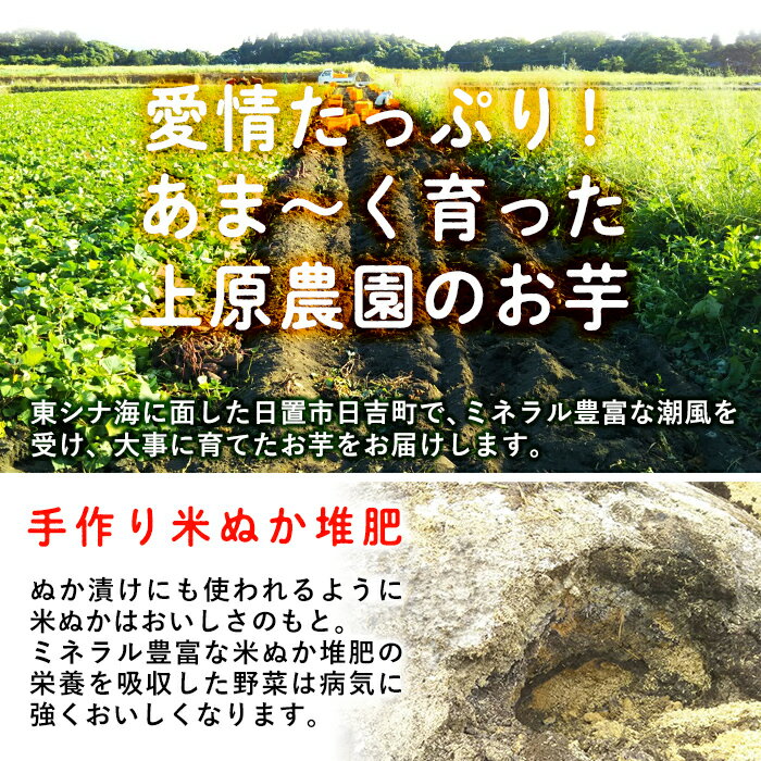 【ふるさと納税】＜先行予約受付中！＞鹿児島県産！栽培期間中農薬不使用 特選甘熟さつまいも(生)紅はるか3kg(S・M・Lサイズ 混在) 贈り物にも！いも 芋 さつまいも サツマイモ 焼き芋 大学芋 スイーツ 熟成 ギフト 贈答用 【上原農園】 サムネイル2
