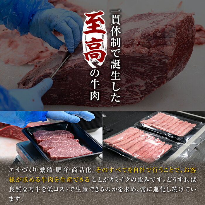 【ふるさと納税】＜内容量が選べる＞【生食好きにおすすめ！】鹿児島県産黒毛和牛ユッケ3〜14人前(40g×3〜14パック) たれ付き 国産 鹿児島県産 黒毛和牛 ユッケ 冷凍 牛肉 生 小分け 個包装 選べる【カミチク】 サムネイル2