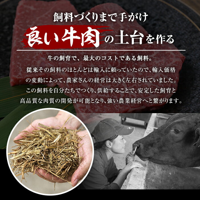 【ふるさと納税】＜内容量が選べる＞【生食好きにおすすめ！】鹿児島県産黒毛和牛ユッケ3〜14人前(40g×3〜14パック) たれ付き 国産 鹿児島県産 黒毛和牛 ユッケ 冷凍 牛肉 生 小分け 個包装 選べる【カミチク】 サムネイル3