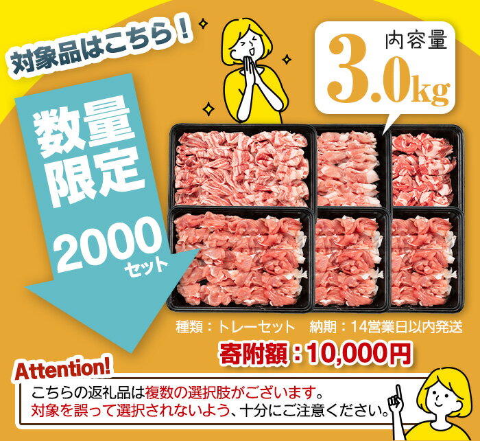 【ふるさと納税】豚肉 切り落とし ＜選べる配送時期・内容量＞鹿児島県曽於市産 曽於ポーク切り落とし 合計1.5～4.0kg (トレー：各300g or 500g、真空パック：各250g) セット 国産 鹿児島県産 小分け 真空 冷凍 豚 肉 【Rana】 サムネイル2
