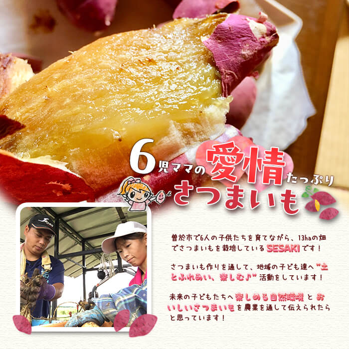【ふるさと納税】＜先行予約受付中・2025年8月以降順次発送予定＞＜内容量が選べる！＞鹿児島県曽於市産！新物 紅はるか(5kg or 10kg) いも 芋 さつまいも 薩摩いも サツマイモ 紅はるか 新物 焼き芋 大学芋 スイーツ 選べる 5kg 10kg【瀬崎農園】 サムネイル2