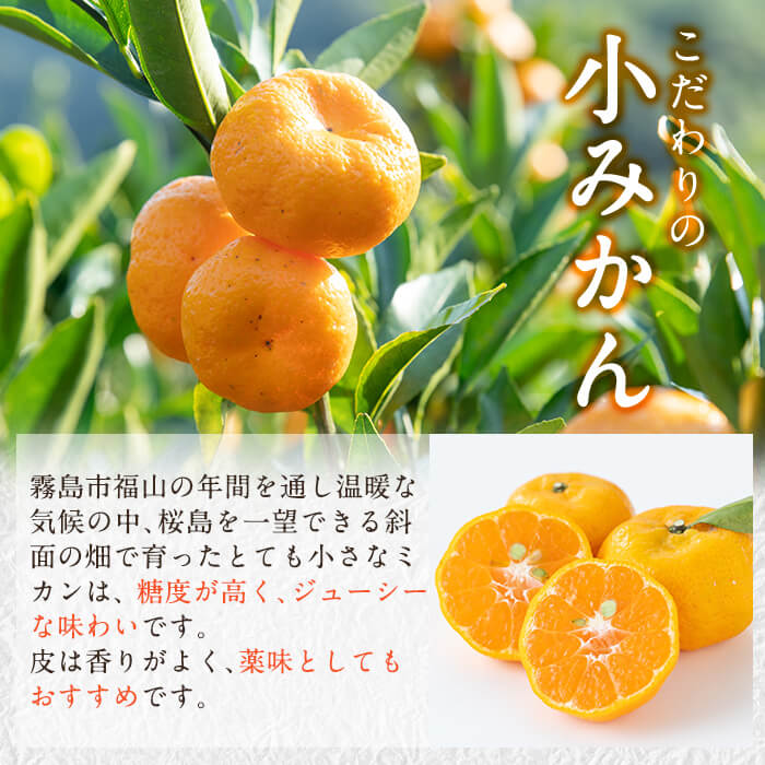 【ふるさと納税】《種なし・種ありが選べる！》＜数量限定！先行予約受付中＞鹿児島小みかん(約5kg) 果物 みかん ミカン 蜜柑 柑橘 フルーツ【福岡果樹園】 サムネイル3