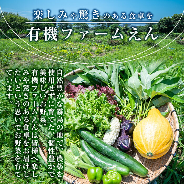 【ふるさと納税】霧島産！旬の野菜セット(季節の野菜10品)栽培期間中農薬・化学肥料不使用の新鮮な野菜の詰め合わせ【有機ファームえん】 - 画像2