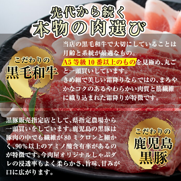【ふるさと納税】鹿児島県産黒毛和牛【A-5ランク】＆黒豚しゃぶしゃぶセット（計約800g・たれ付き)※北海道・沖縄配送不可※国産 牛肉 上赤身肉 豚肉 黒豚ロース肉 しゃぶしゃぶ肉【今肉屋】 サムネイル3