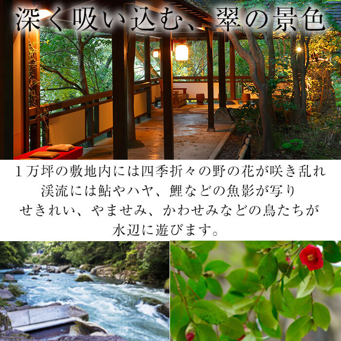【ふるさと納税】＜妙見石原荘＞で使える楽天トラベルクーポン 寄附額250,000円！宿泊券 温泉 宿泊 九州 旅行券 チケット ホテル サムネイル3