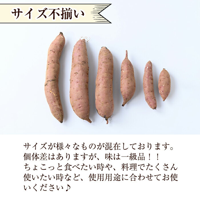 【ふるさと納税】《数量限定》紅はるか10kg(生芋) さつまいも サツマイモ 芋 さつま芋 熟成 【泉真一朗】 - 画像2