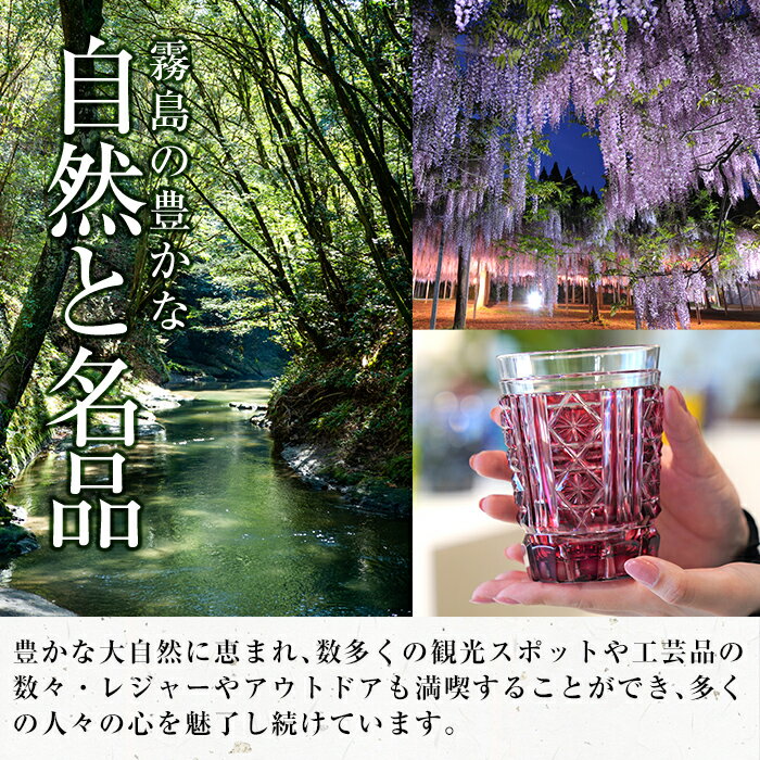 【ふるさと納税】鹿児島県霧島市の対象施設で使える楽天トラベルクーポン 寄附額10,000円！宿泊券 温泉 宿泊 九州 旅行券 チケット ホテル サムネイル3