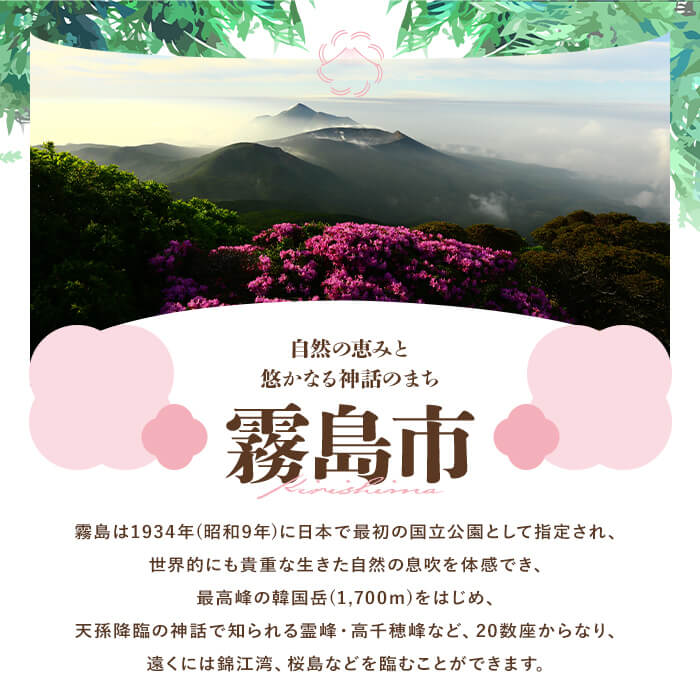 【ふるさと納税】鹿児島県霧島市の対象ツアーに使えるHISふるさと納税クーポン(3,000円分) 旅行 ツアー 観光 トラベル 旅 チケット 電子クーポン 旅行券【エイチ・アイ・エス】 サムネイル2
