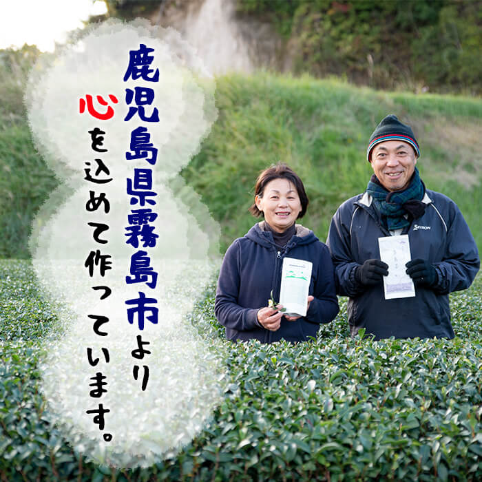 【ふるさと納税】厳選深むし霧島茶セット(合計240g・80g×3袋)国産 霧島産 お茶 茶葉 煎茶 緑茶 銘茶 深むし茶 詰め合わせ 詰合せ【松山産業】 サムネイル3