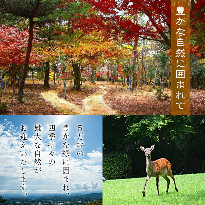 【ふるさと納税】霧島温泉 温泉宿・宿泊券ペアチケット（平日2名様1室、1泊2食付き、要予約）森林浴も楽しめる露天風呂！鹿児島県産の旬の食材を使用した和食会席をお楽しみください【旅行人山荘】 - 画像3