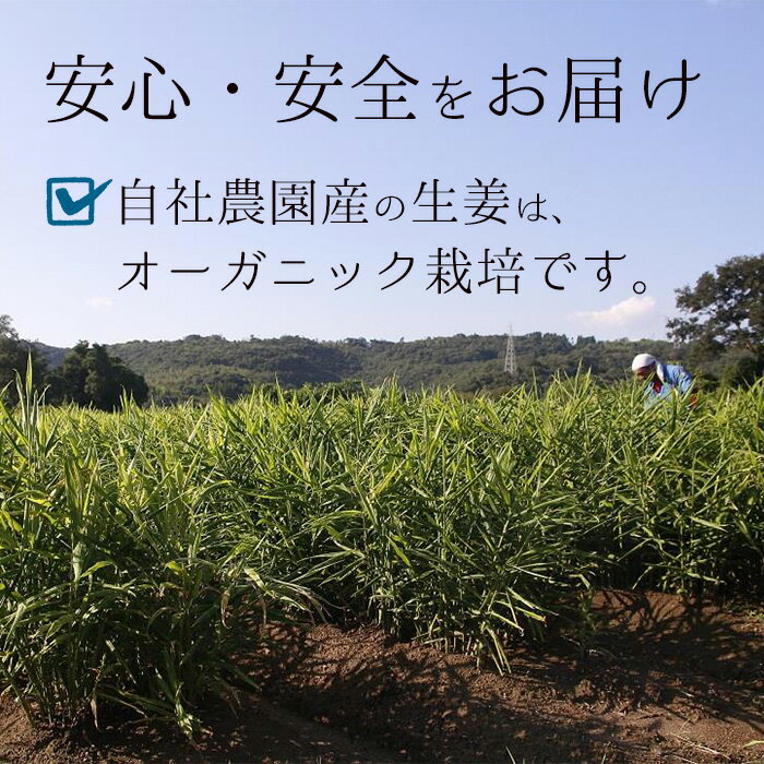 【ふるさと納税】鹿児島県産ジンジャーパウダー(40g×3)自社農園の新生姜のみ使用！国産 鹿児島県産 いちき串木野産 有機 オーガニック 生姜 ジンジャー パウダー 無添加 小分け 常温 常温配送 6次化 六次化【安光農園】 - 画像3