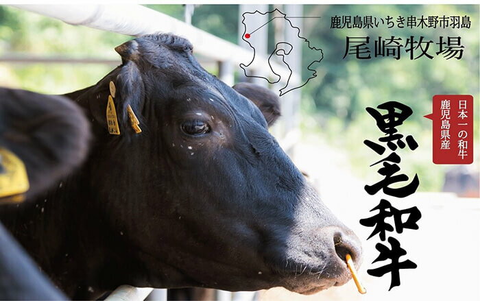 【ふるさと納税】鹿児島県産黒毛和牛切り落とし(約600g) A4等級以上 肉 国産 牛 切り落とし 九州 黒毛和牛 和牛 牛肉 牛丼 肉じゃが【バクロ】 サムネイル3