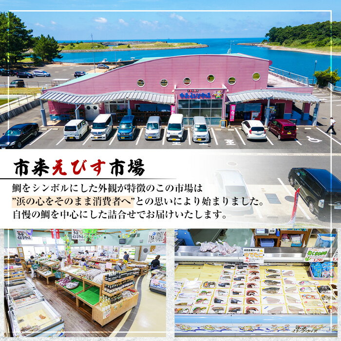 【ふるさと納税】《配送回数選べる》朝獲れ鮮魚の詰め合わせセット(1~5回) 鹿児島県いちき串木野より海鮮を産地直送！ 冷蔵 魚種 お任せ お楽しみ 水揚げ 鮮魚 海鮮 海産物 魚介 魚貝類 さかな サカナ 貝類 イカ タコ 旬 詰合せ 真空 パック 刺身 塩焼き 冷蔵【えびす市場】 サムネイル3