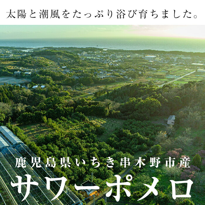 【ふるさと納税】＜先行予約受付中！2026年2月中旬頃より順次発送予定＞サワーポメロ＜等級：秀＞(4玉・2L～4L)とまるごとポメロシロップ(165g×2本)セット！鹿児島県産 サワーポメロ 大橘 柑橘 文旦 パール柑 フルーツ 果物 みかん 常温 旬 シロップ 果汁 果実【西果樹園】 サムネイル2