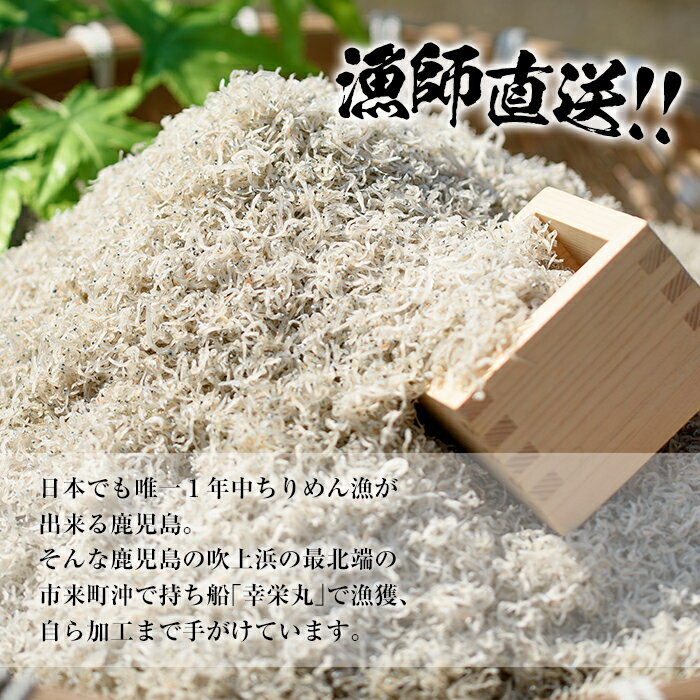 【ふるさと納税】鹿児島県産「網元の天日干しちりめん(計400g・50g×8袋)」！直送 新鮮 鮮度 国産 しらす シラス じゃこ直送 魚 魚介類 さかな 小魚 カルシウム【大久保水産】 サムネイル2